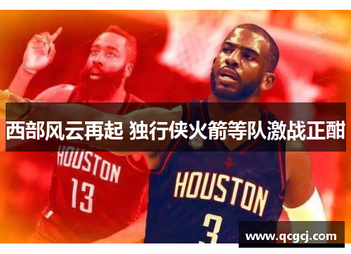 西部风云再起 独行侠火箭等队激战正酣 西部风云再起 独行侠火箭等队激战正酣